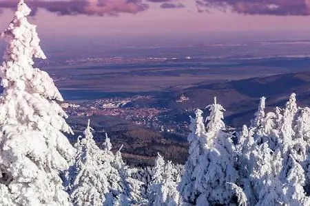 דירה Bergsuite No.27 בראונלאגה